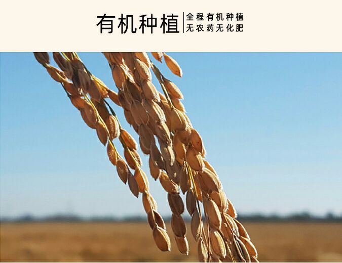  农夫阿郑 丝苗含硒米 富硒大米 一等品 晚稻 5KG