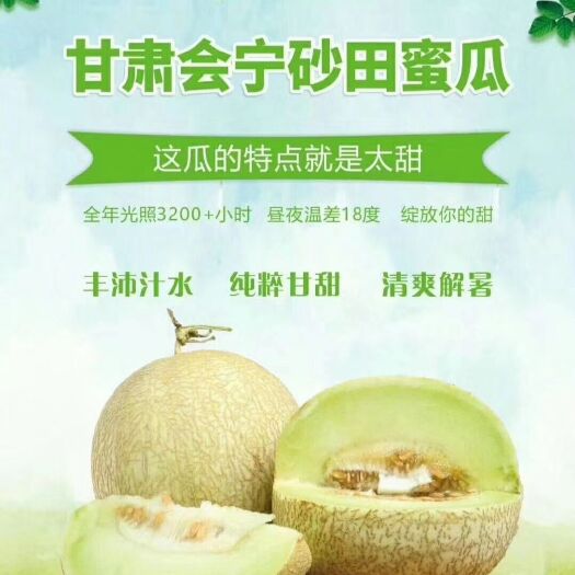 会宁县 甜如蜜就是它，爽口香甜，高海拔甜瓜