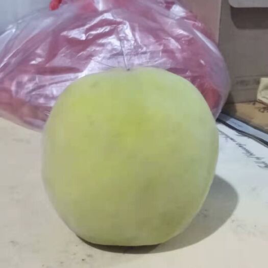 莱阳市 可以制作罐头的黄桃