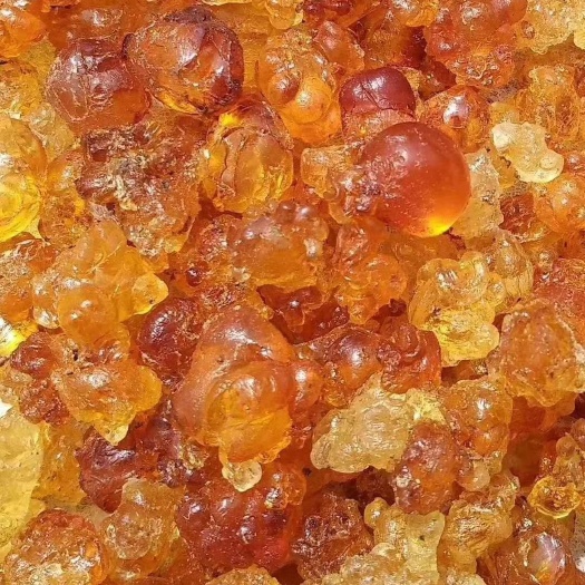 随县 天然野生桃胶