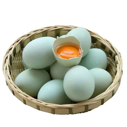 绿壳蛋  40枚绿壳乌鸡蛋  源场直供 质优价廉 破损包赔