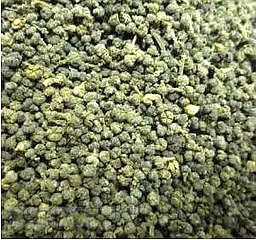 建德市吴茱萸 上好吴萸子