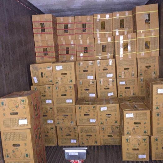 广州泰国榴莲 工厂直销  欢迎咨询