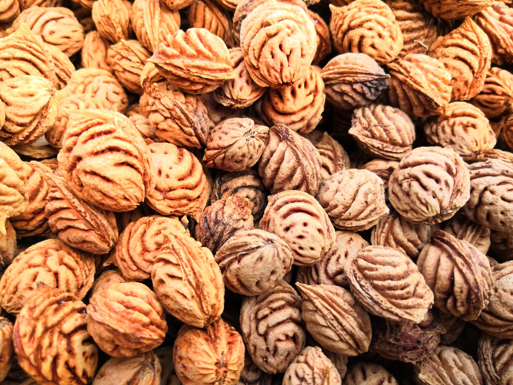 毛桃核 话不多说老板自己看