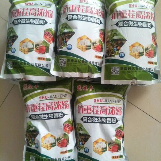 临清市红皮大蒜 复合微生物菌粉