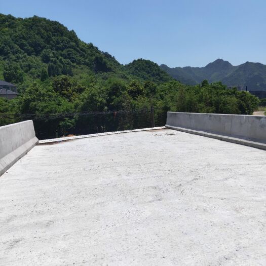 杭州 大量供应10-17公分大叶女贞
