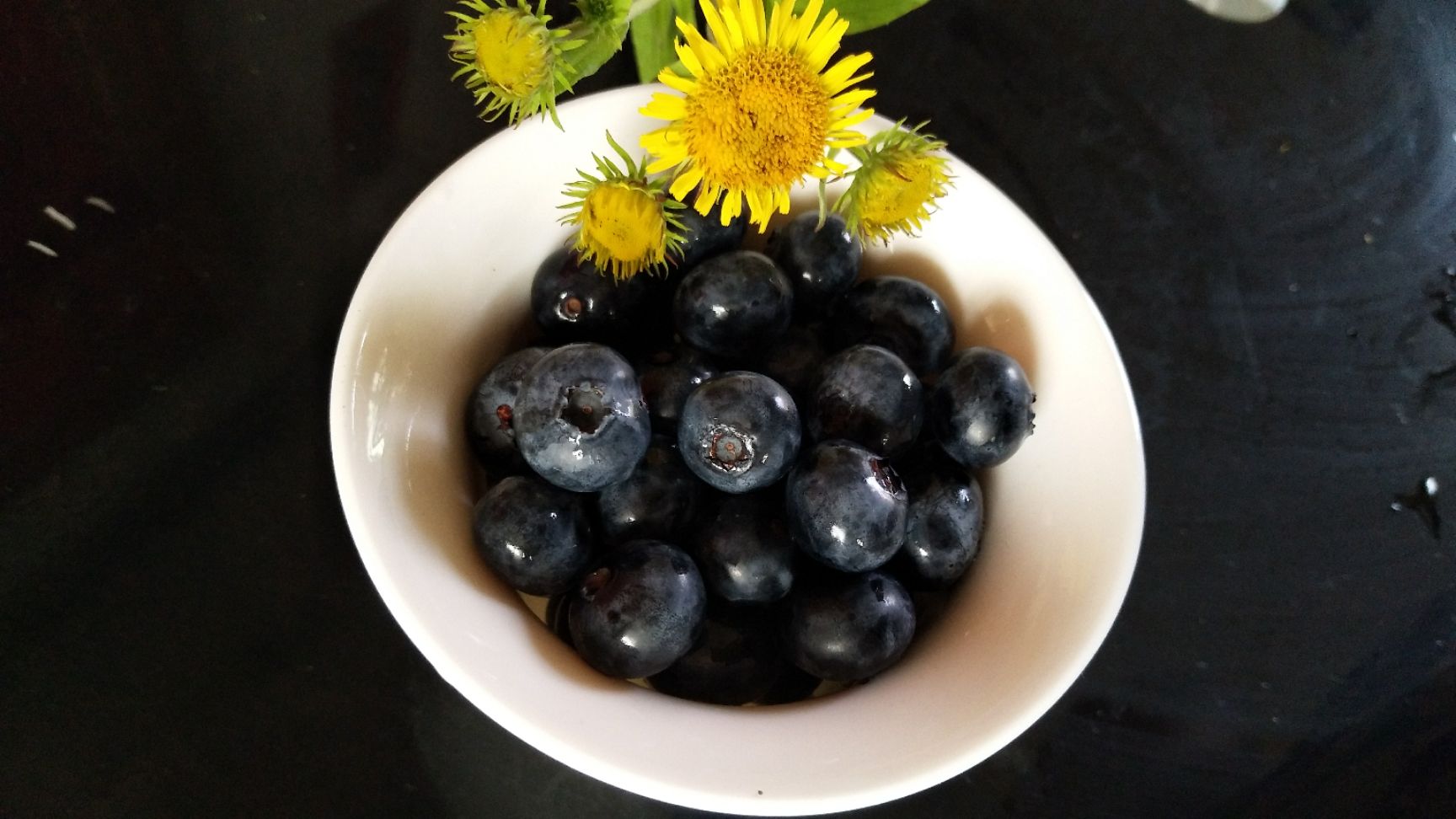 奥尼尔蓝莓  蓝莓鲜果新鲜蓝莓新鲜大果国产蓝莓