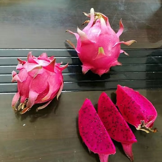 天津 红心火龙果