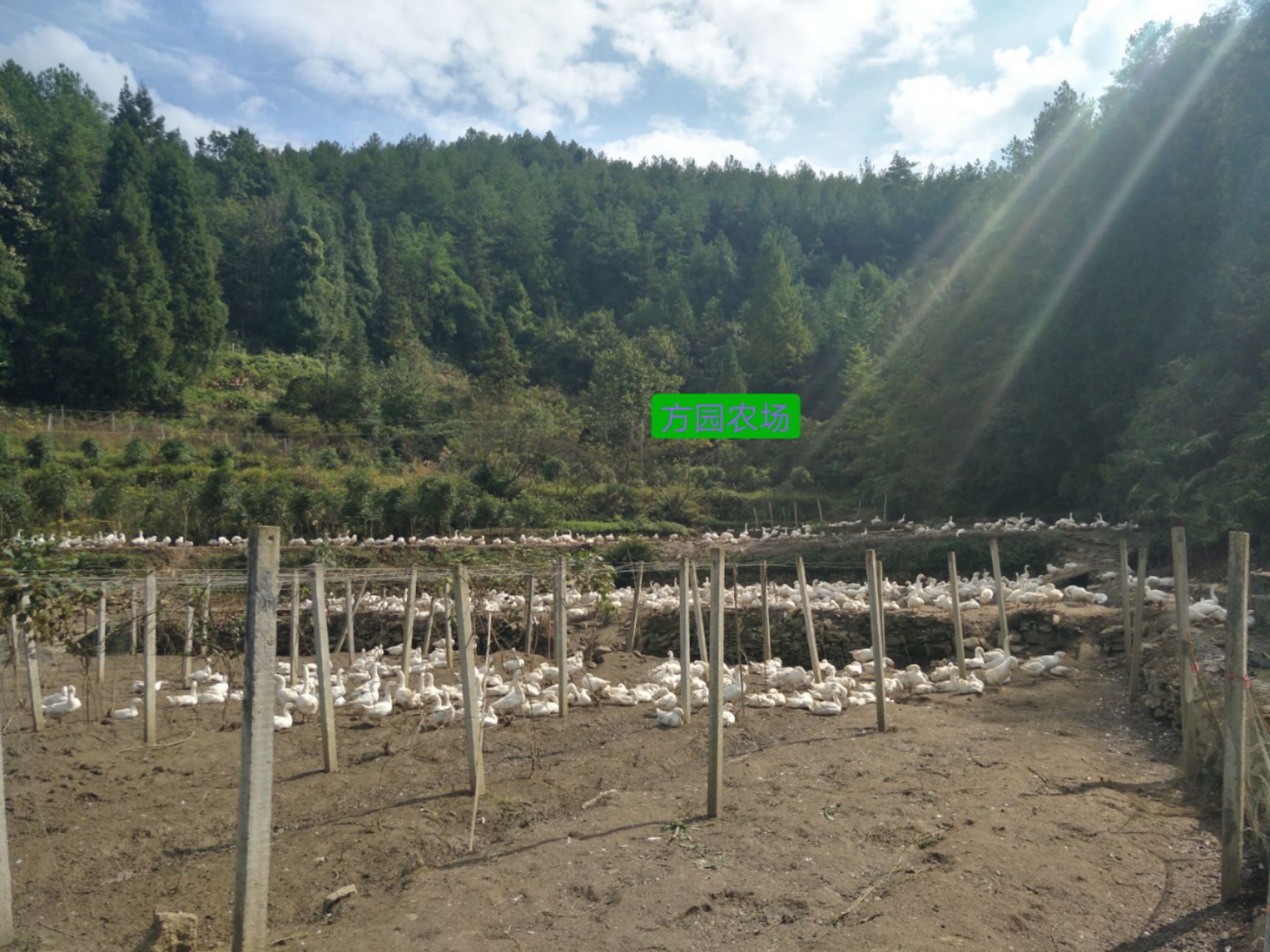 农产品批发供应商何自强 - 惠农网电脑版