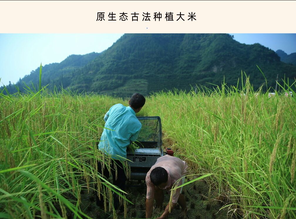  农夫阿郑 丝苗含硒米 富硒大米 一等品 晚稻 5KG