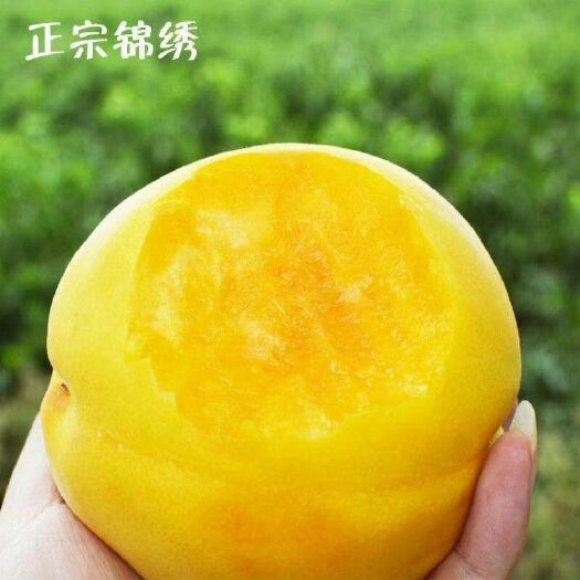 砀山县 锦绣甜黄桃，套袋成熟，四两以上，江浙沪皖包邮，一件代发