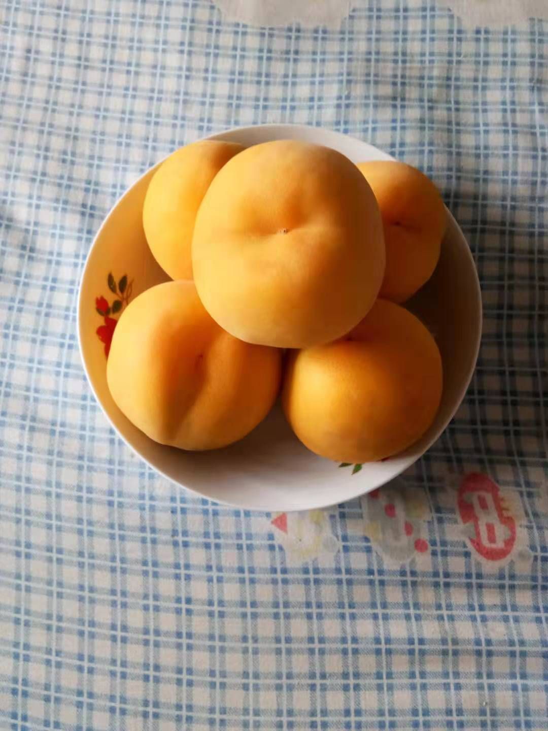 黄金冠黄桃 45mm以上 3 - 4两