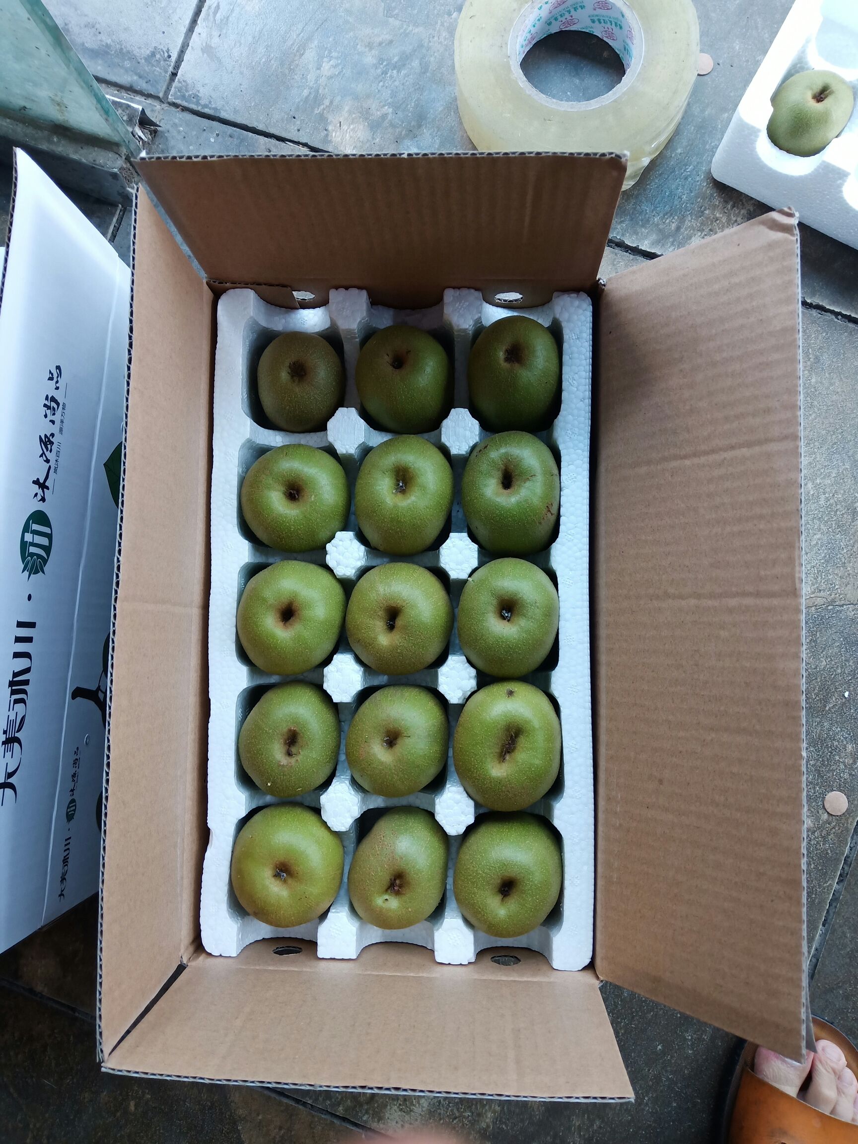  沐川红心猕猴桃