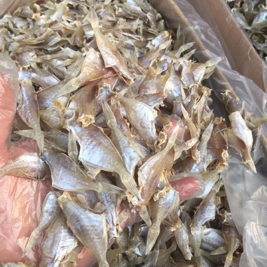 汕头迪鱼干