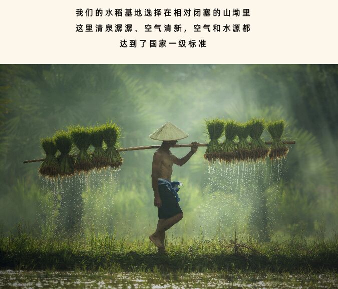  农夫阿郑 丝苗含硒米 富硒大米 一等品 晚稻 5KG