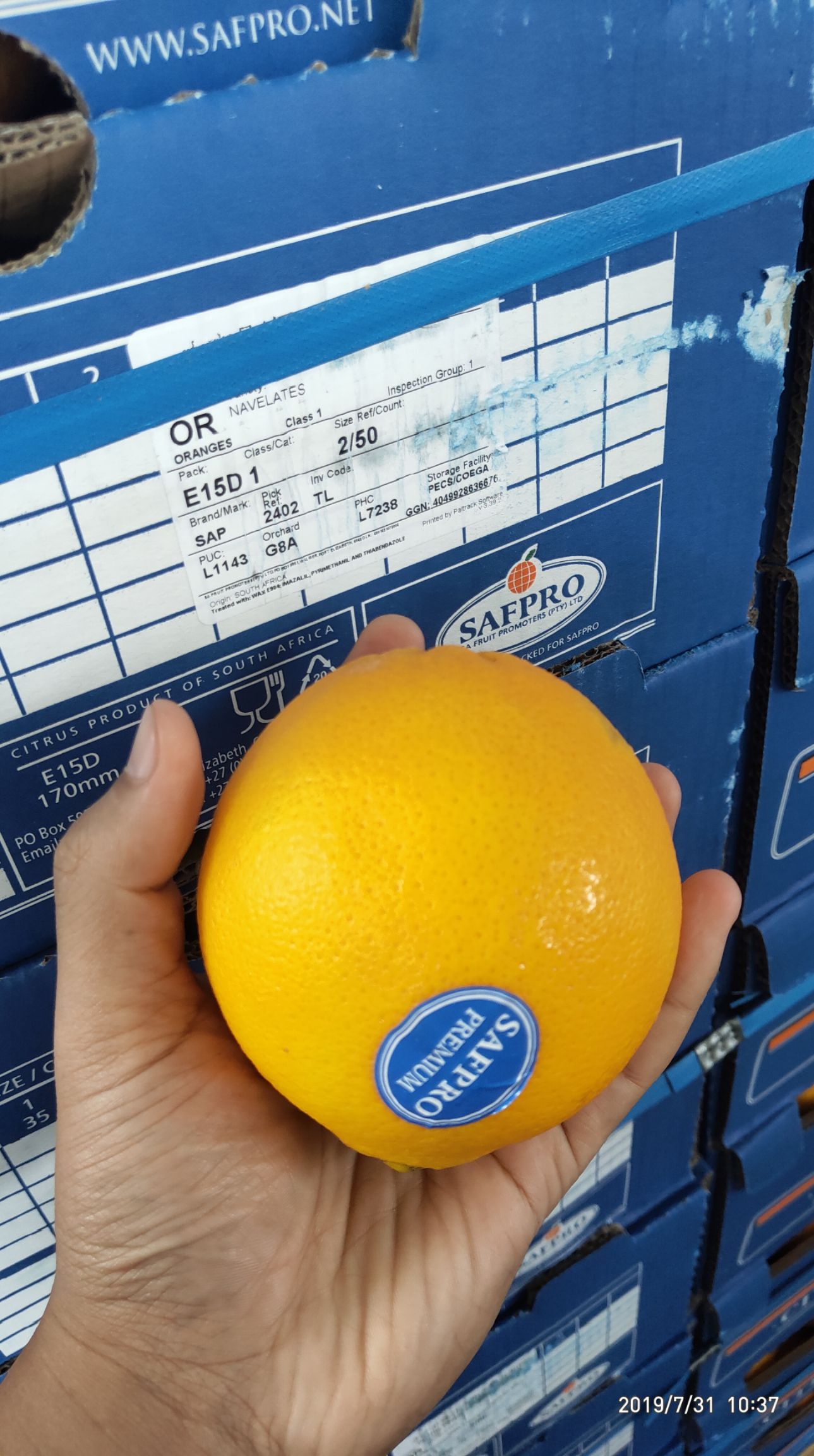 广州南非橙 南非甜橙，大箱38斤，一手货源，一手价格，量大从优