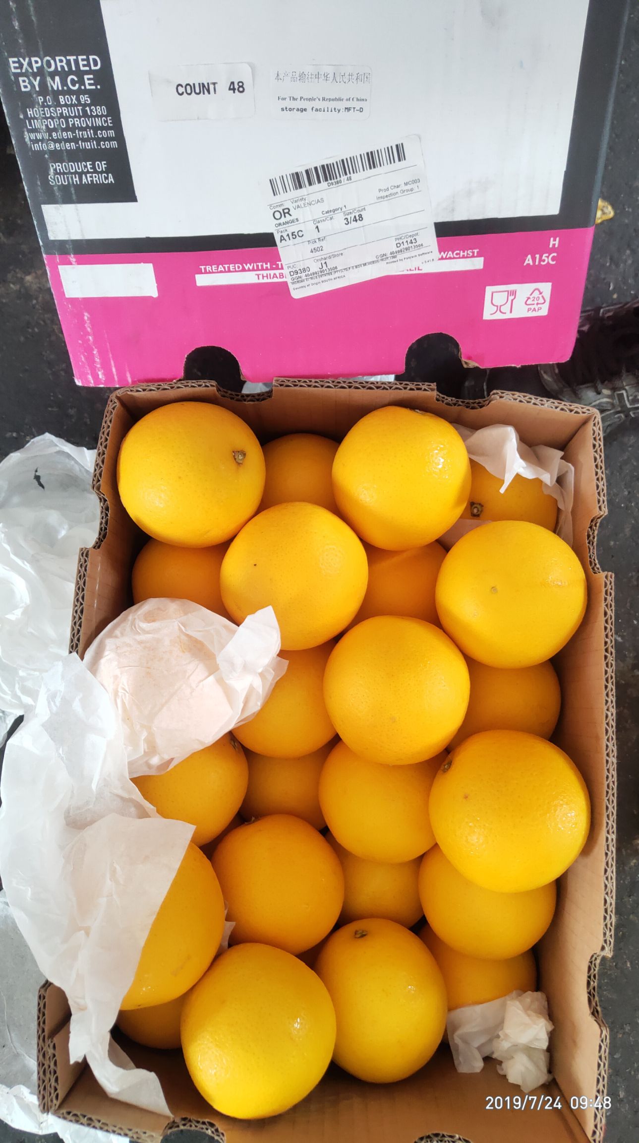 广州南非橙 南非夏橙，硬度好，果面干净，新鲜口感好