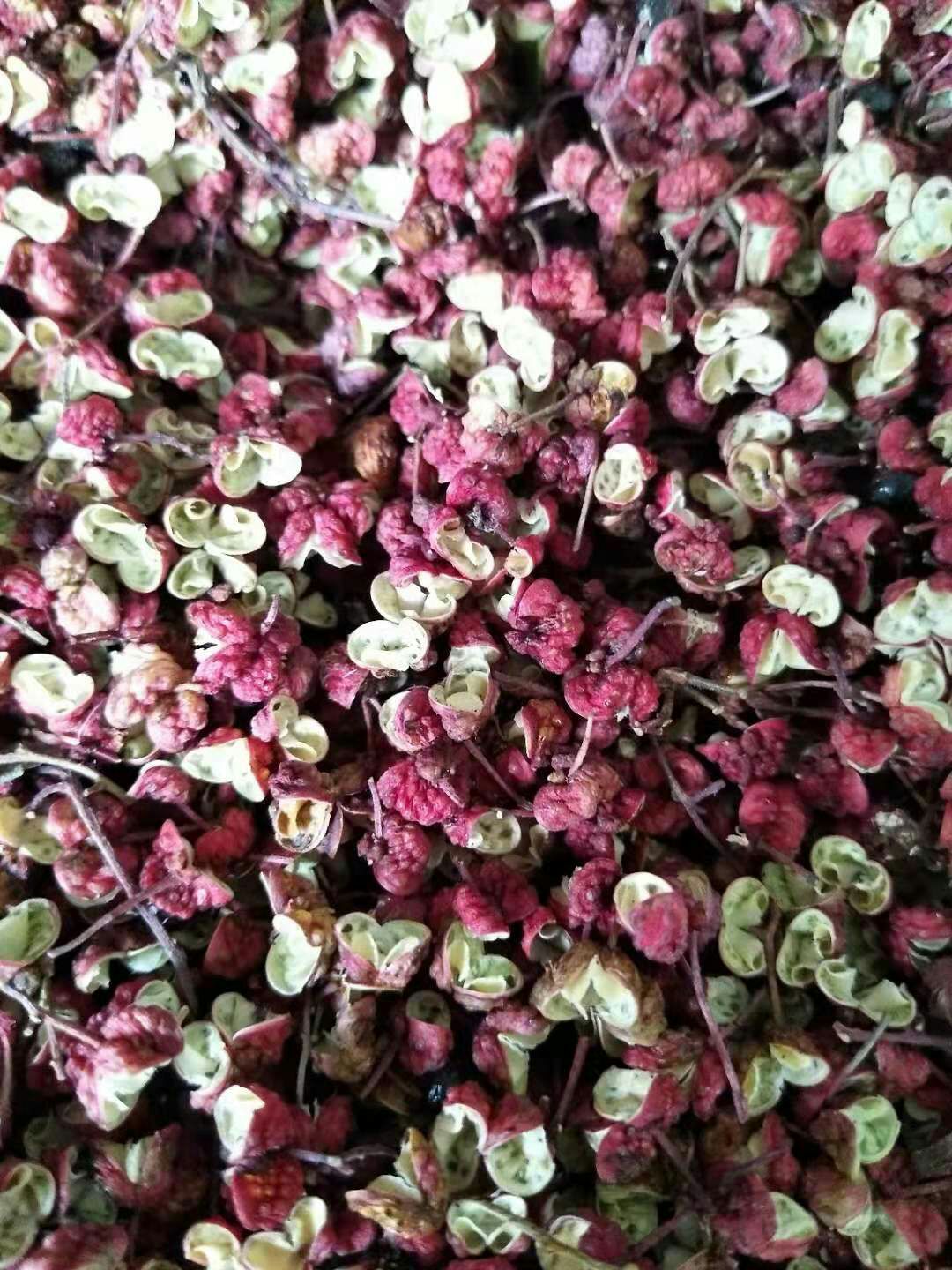 川椒 一级 干花椒