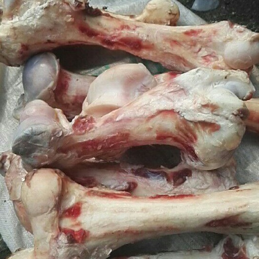 无极县牛骨
