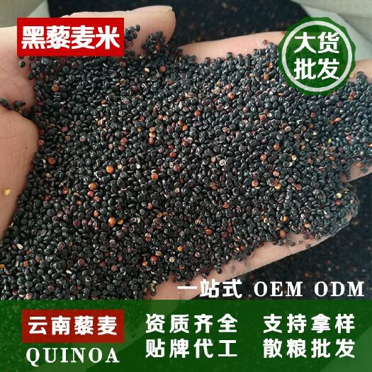 广州 黑藜麦，高质优质服务，诚信就来