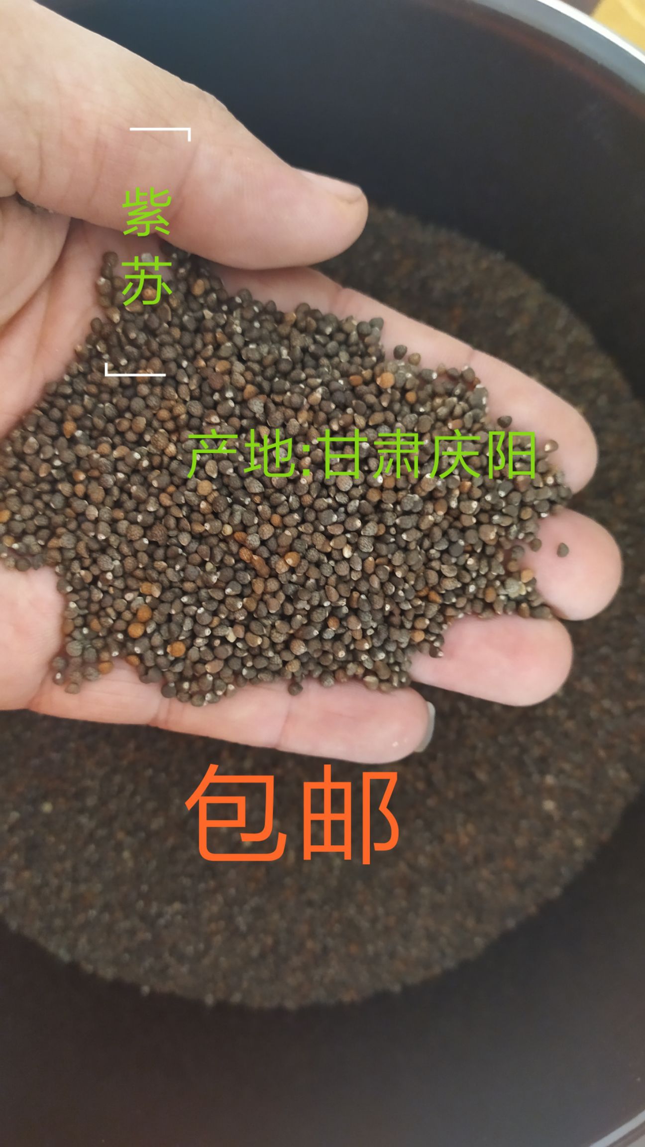 苏子  紫苏籽   药食两用  包含量符合药典标准 出油率一