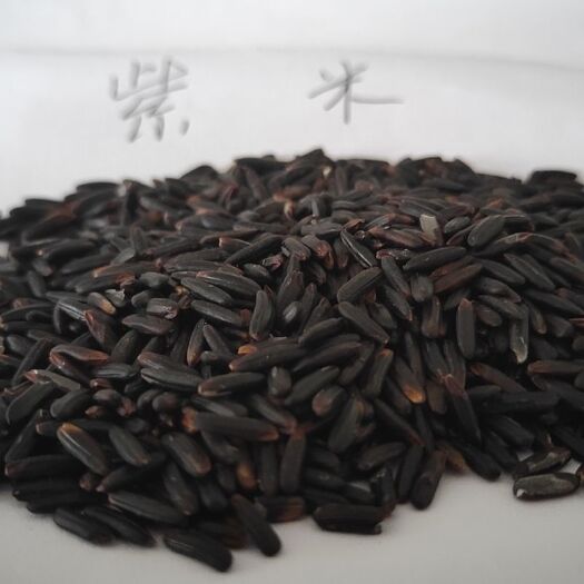 淮滨县 籼米 黑紫米 品质上等 出口标准 可以看货 量大 （口感:香