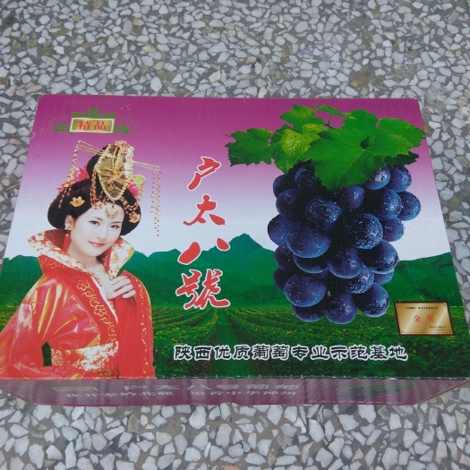 西安夏黑葡萄 型好色美，特甜，送礼，自吃的最好选择。西安市内10箱起包邮！