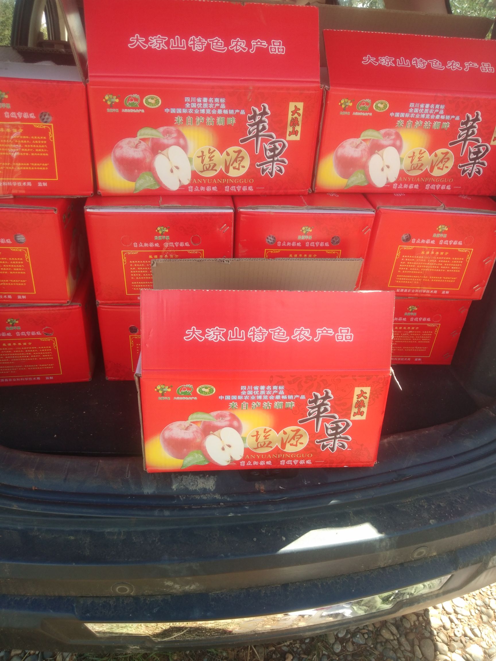  大凉山嘎啦苹果