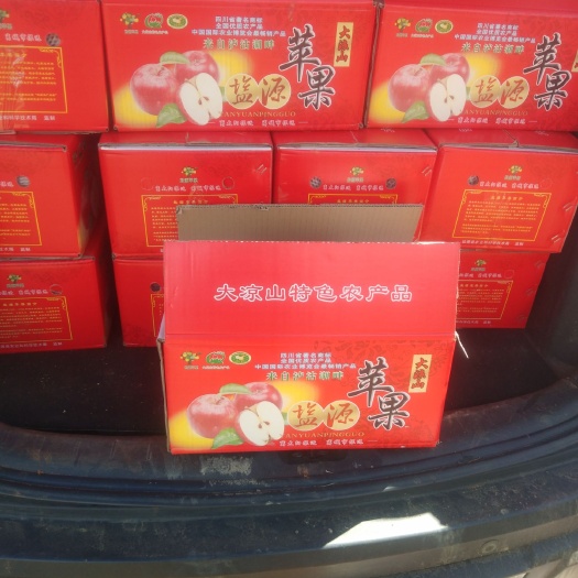 盐源县 大凉山嘎啦苹果