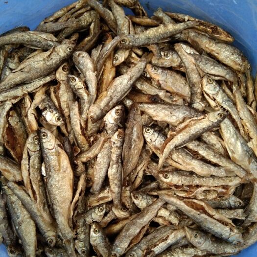 永新县 油炸小鱼干