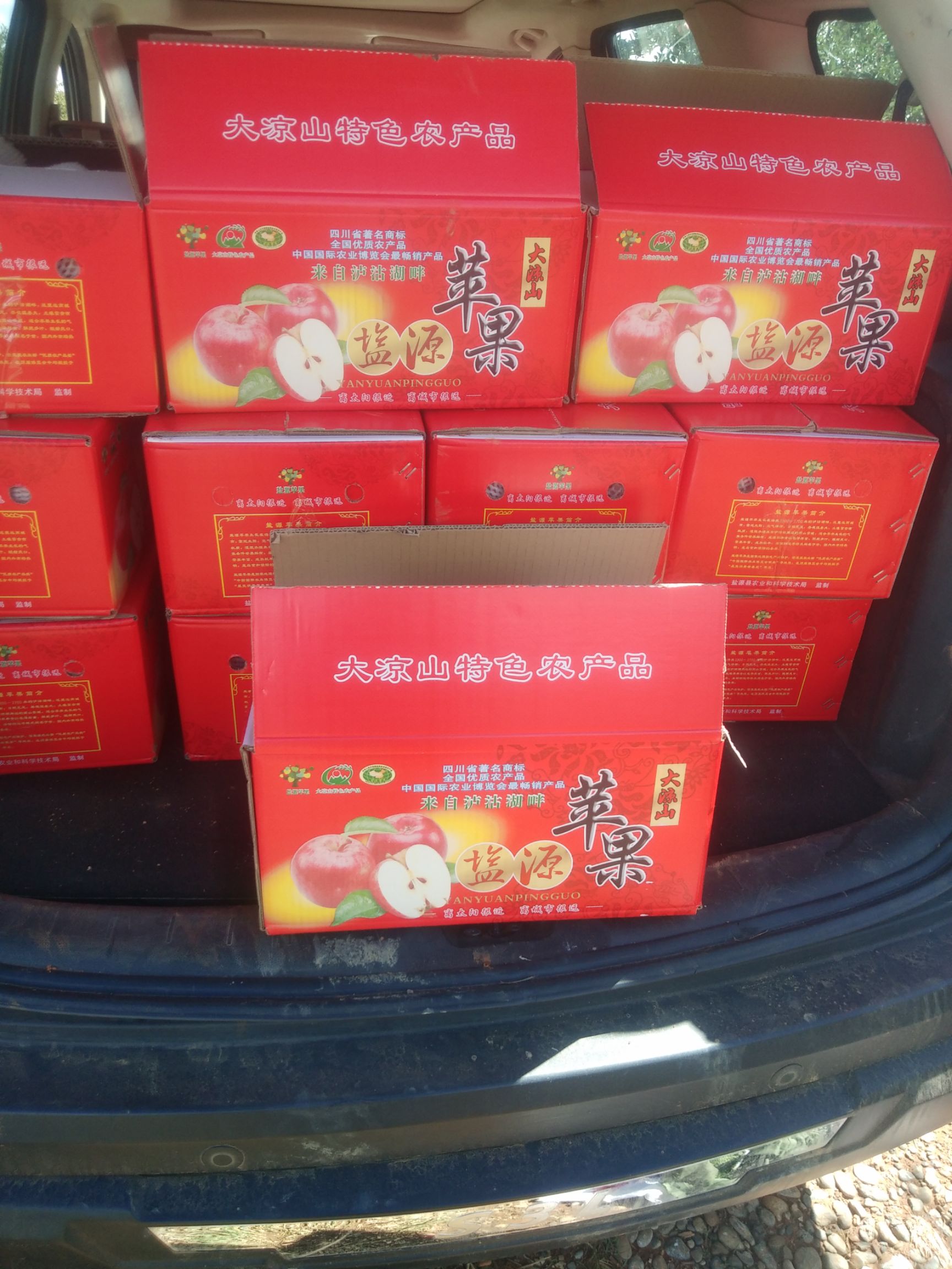  大凉山嘎啦苹果