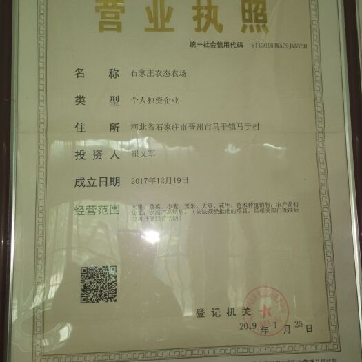 晋州市 本场供无公害认证的巨峰葡萄，全程有机种植 自然农法加现代科