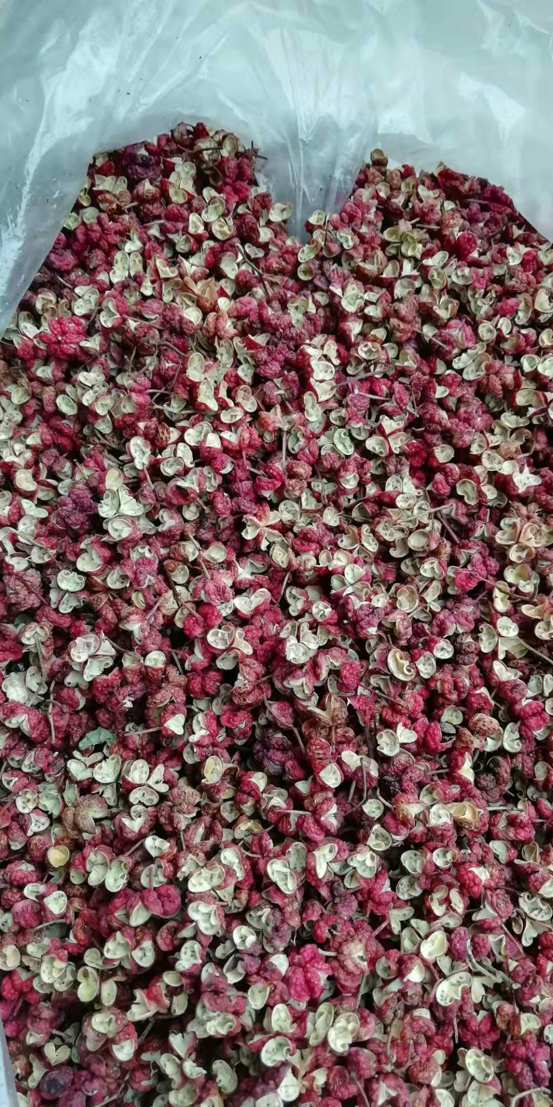 川椒 一级 干花椒