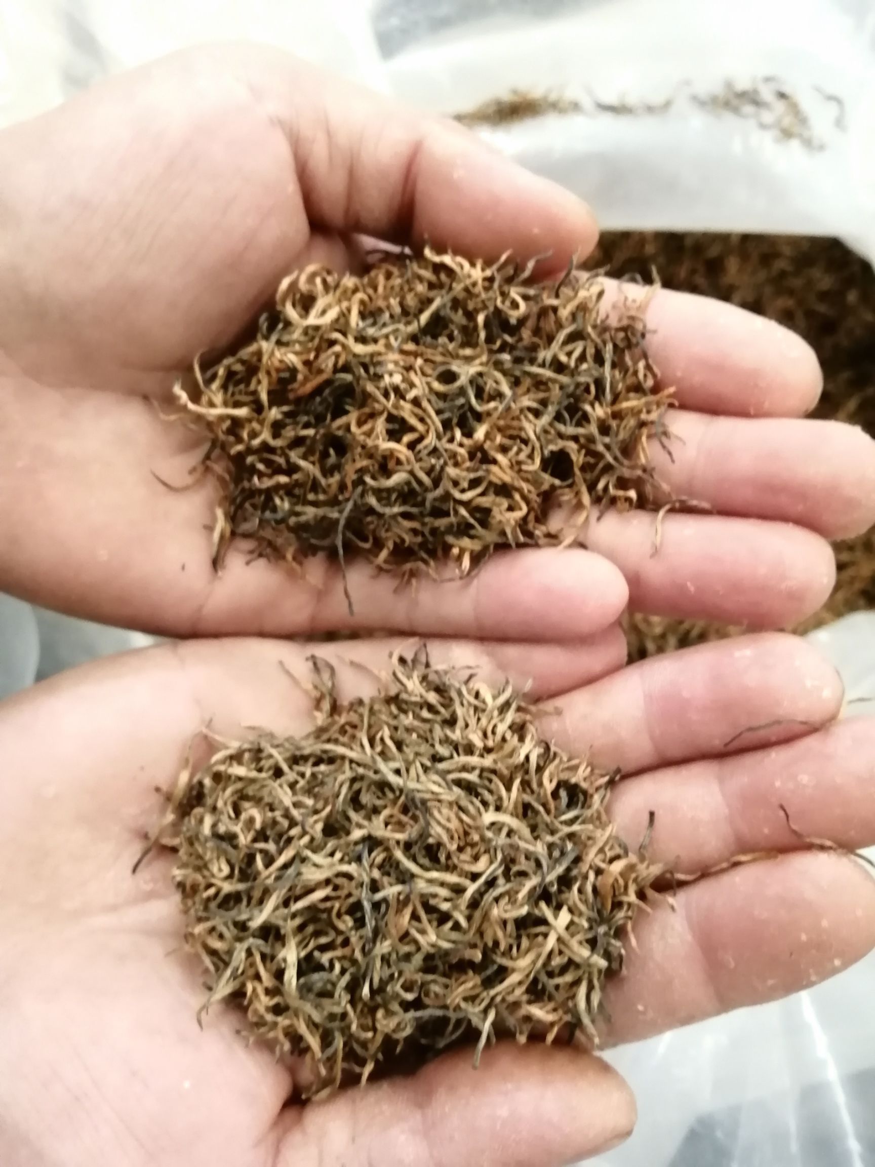 高山红茶 价格美丽。品质好的茶，量大