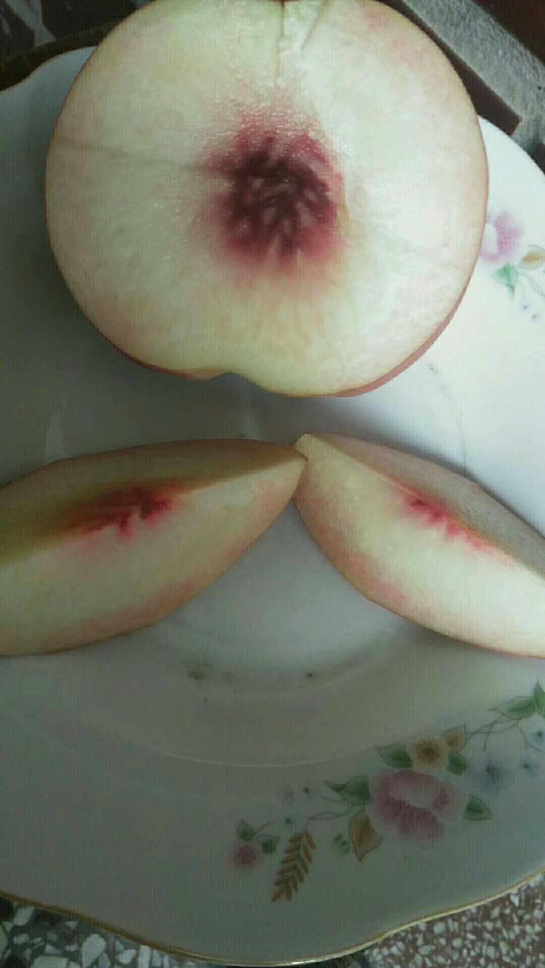 仙桃1号 秦桃1号销售