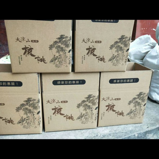 城口 大巴山核桃