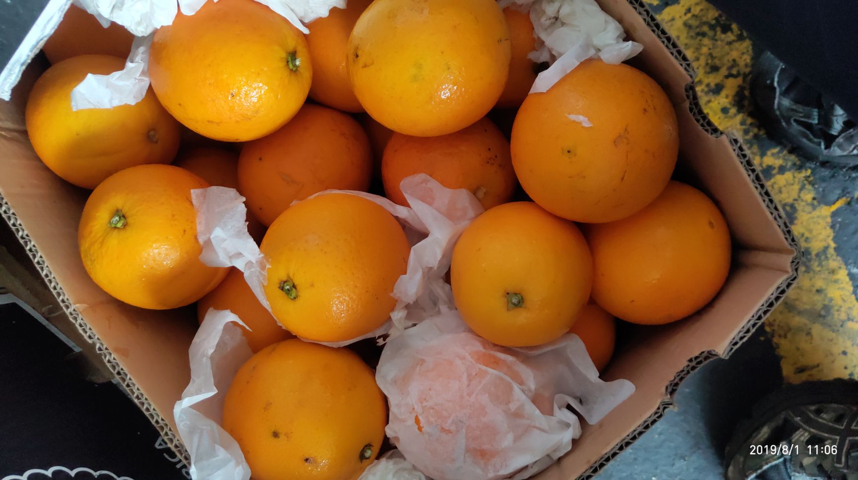 广州南非橙 南非二级橙，榨汁加工，皮薄多汁，价格惊喜
