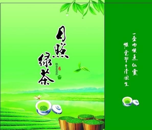五莲县 日照绿茶