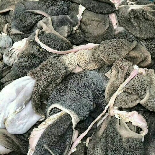 无极县羊杂  河北石家庄市本地羊肚，质量上成，品质无可挑剔欢迎各地老板选购