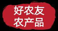  兰州绿色天然鲜百合