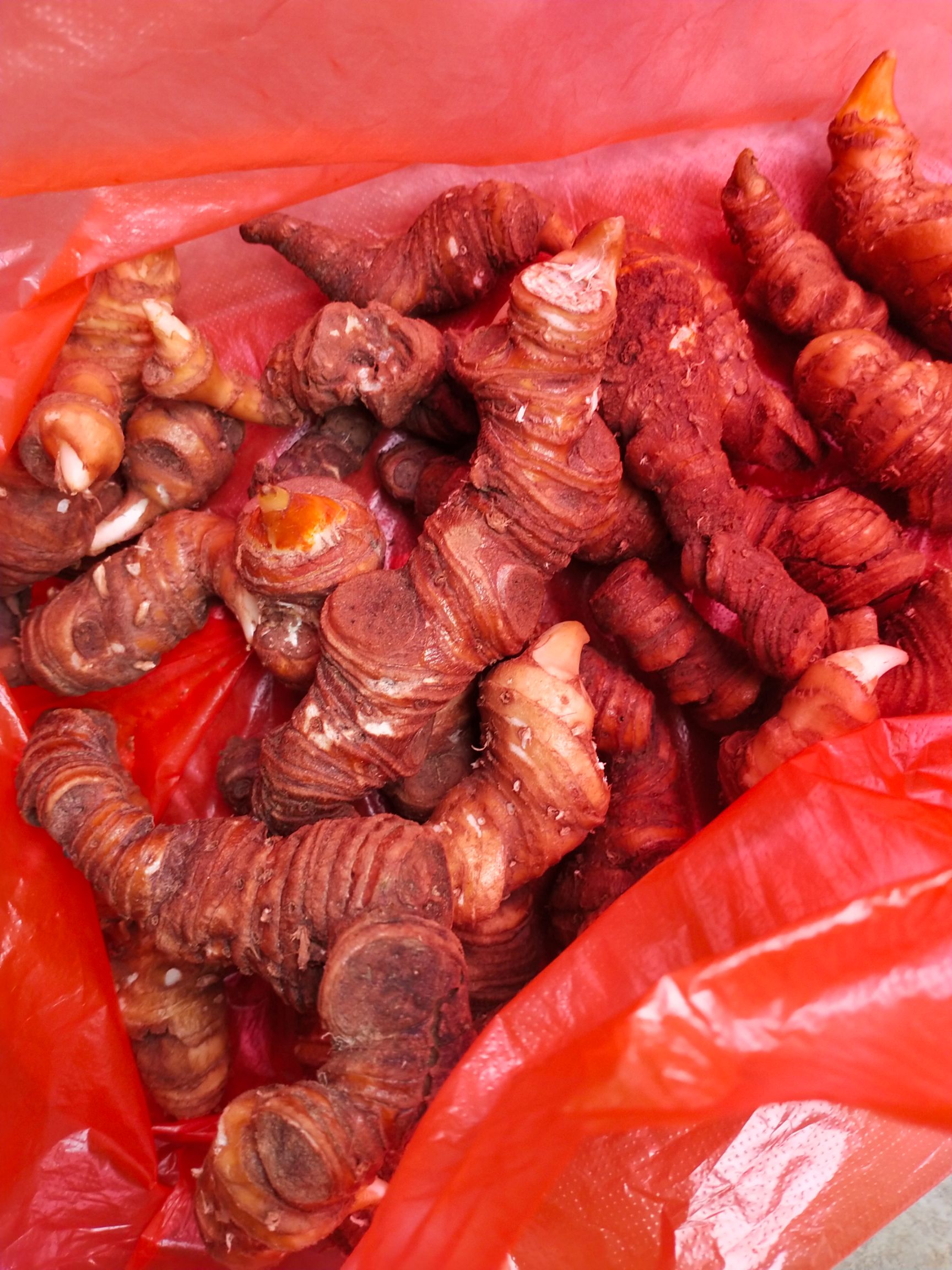 云南滇重楼 七叶一枝花