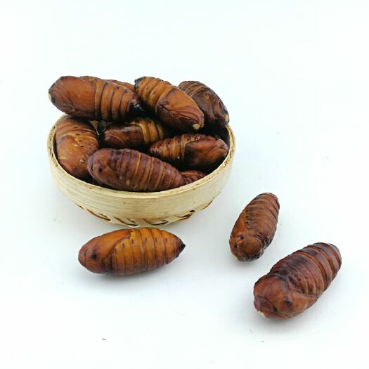 阿荣旗蚕蛹 大量批发大茧，欢迎批发商前来采购。量大从优，2000斤起批。