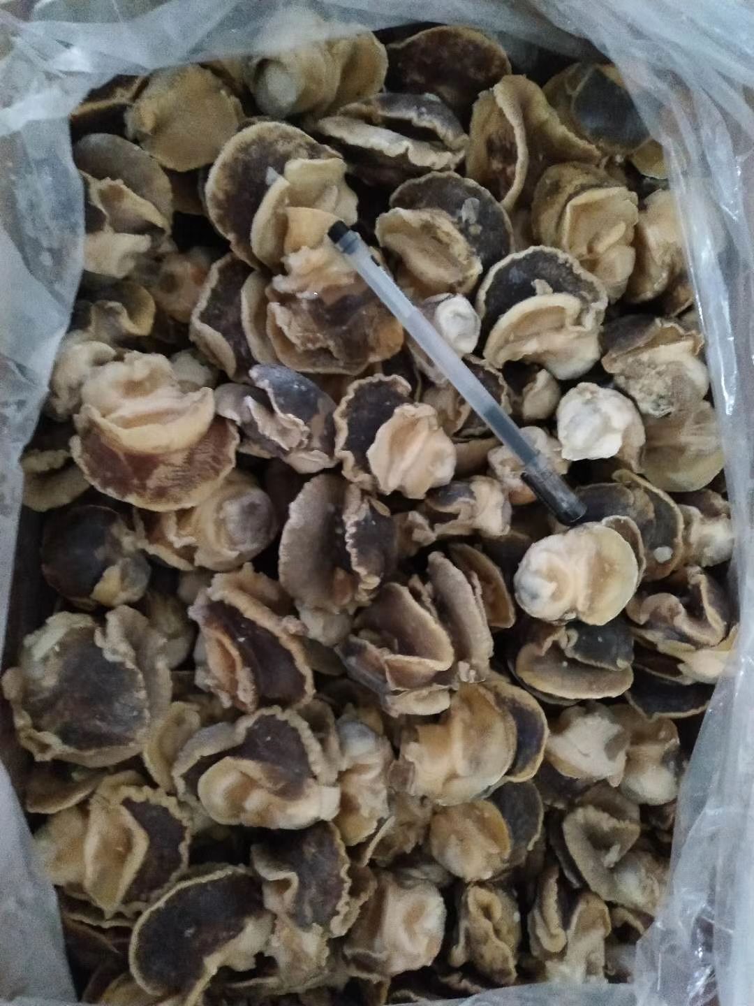 玉螺肉，香螺肉，猫眼螺肉，海螺肉。