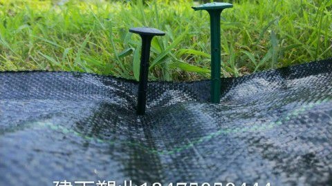 无棣县 地布钉塑料地钉钉子