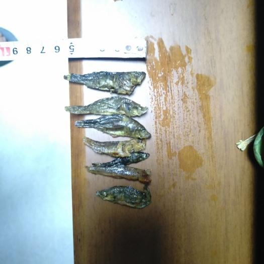 赣州小鱼干