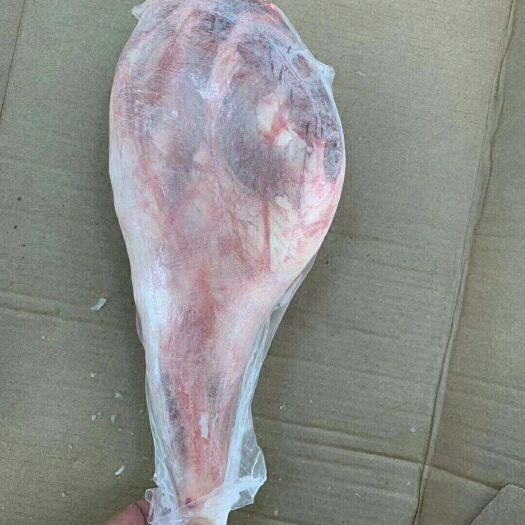 献县羊前腿 法式后腿