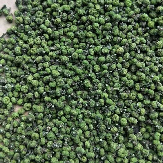 河池吴茱萸 广西品种