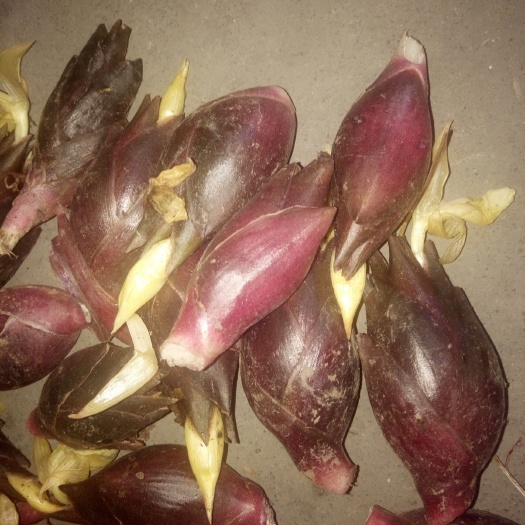 石台县莲花掌 我这里盛产很多蔬菜，中药材