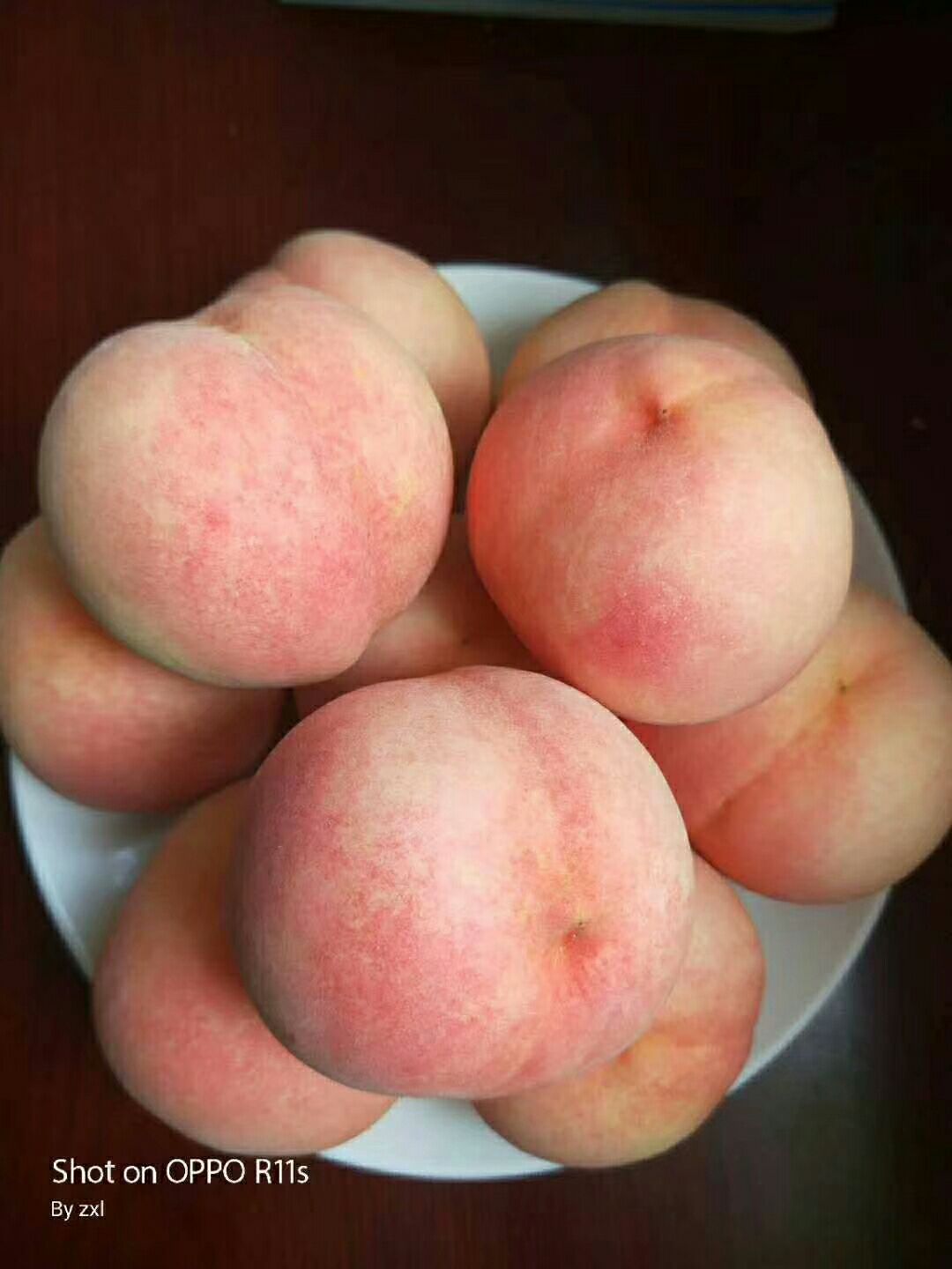 仙桃1号 秦桃1号销售