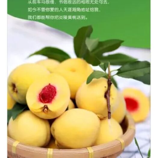 炎陵县 炎陵黄桃正销售中